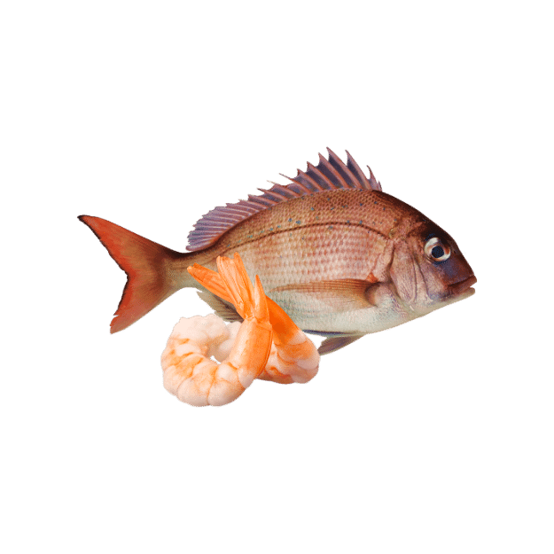 Pescados
