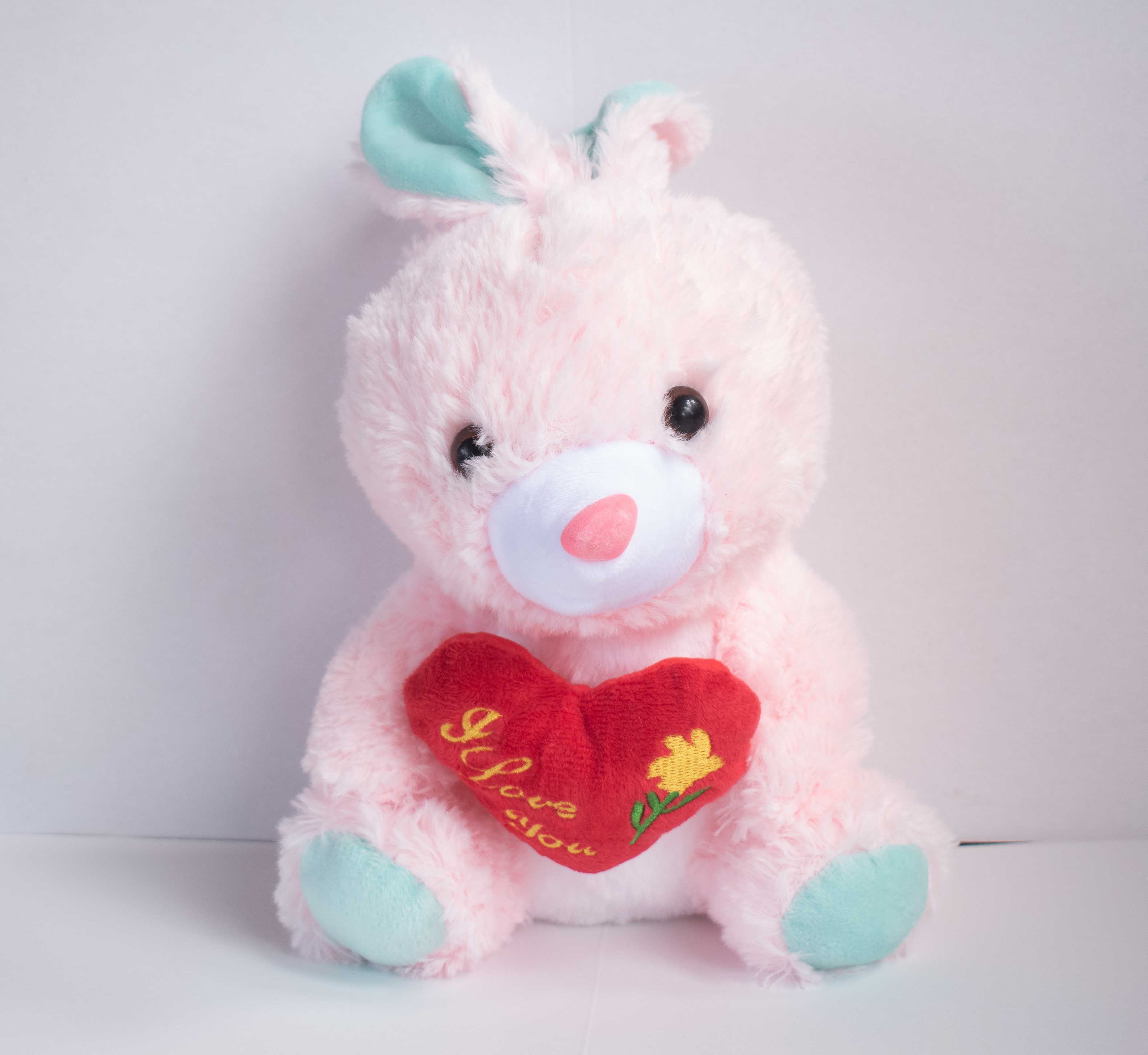 Comprar Peluche Corazón Zapatón 58 cm Peluches online